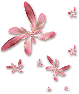 3kwiaty - kwiat2.png
