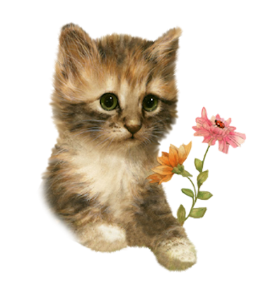 KOTY - Kotek z kwiatkiemdi-15L8.png