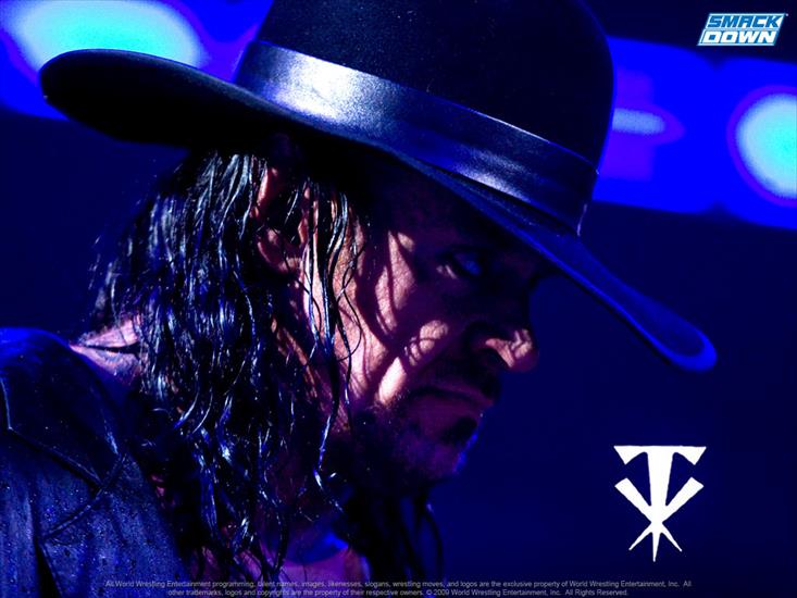 Undertaker - undertaker-wwe-12299425-1024-768.jpg