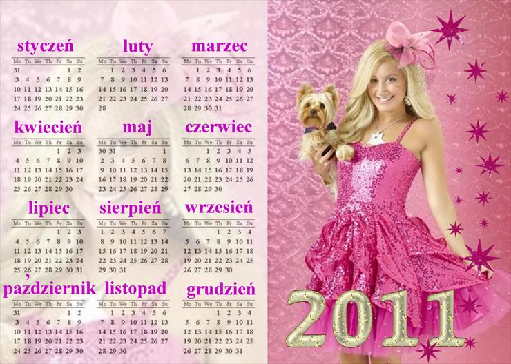 KALENDARZE - ashley tinsdale róż kalendarz 2011 chomik 2011.jpg