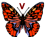 Motyle - butterfly-v-letter.gif