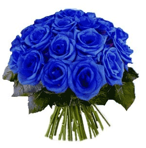 Niebieskie-Róże - 3aede23db0a2e9fdb272646.gif