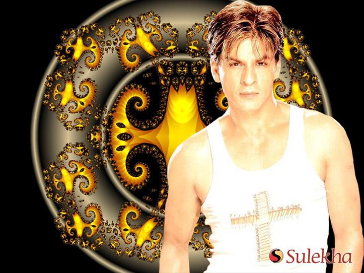 Shah Rukh Khan - SHAH RUKH KHAN 021.jpg