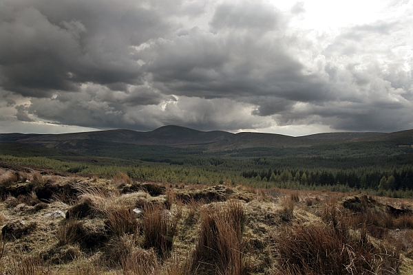 FOTO IRLANDIA GÓRY WICKLOW - 14.jpg