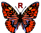 Motyle - butterfly-r-letter.gif