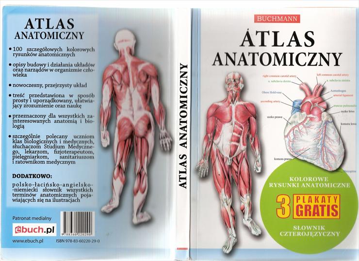 Atlas anatomiczny - Okładka.jpg