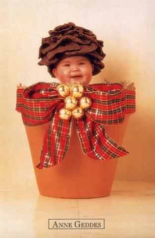 Dzieci w doniczkach - galeria anne geddes 39.jpg